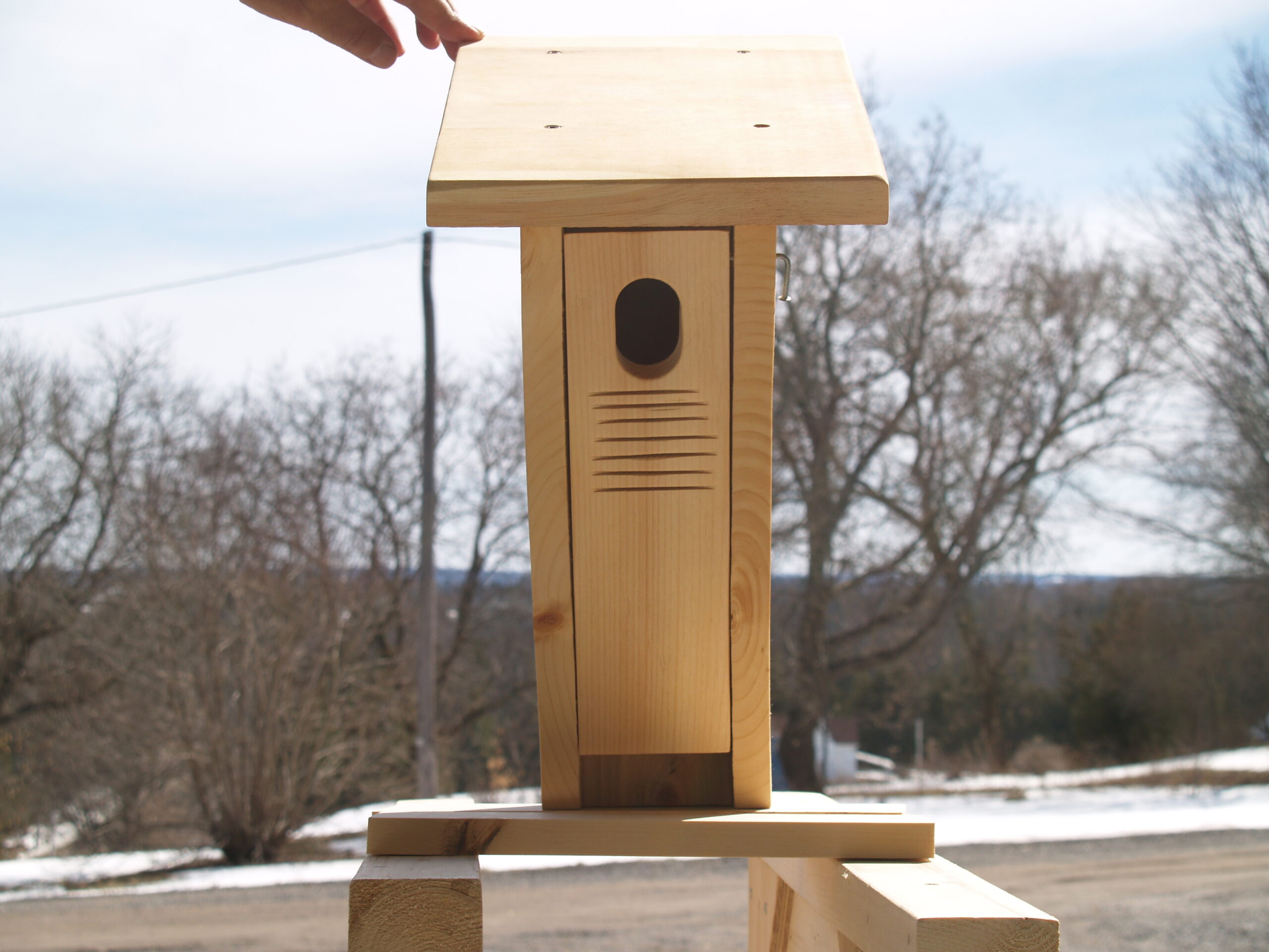 Peterson BlueBird Box