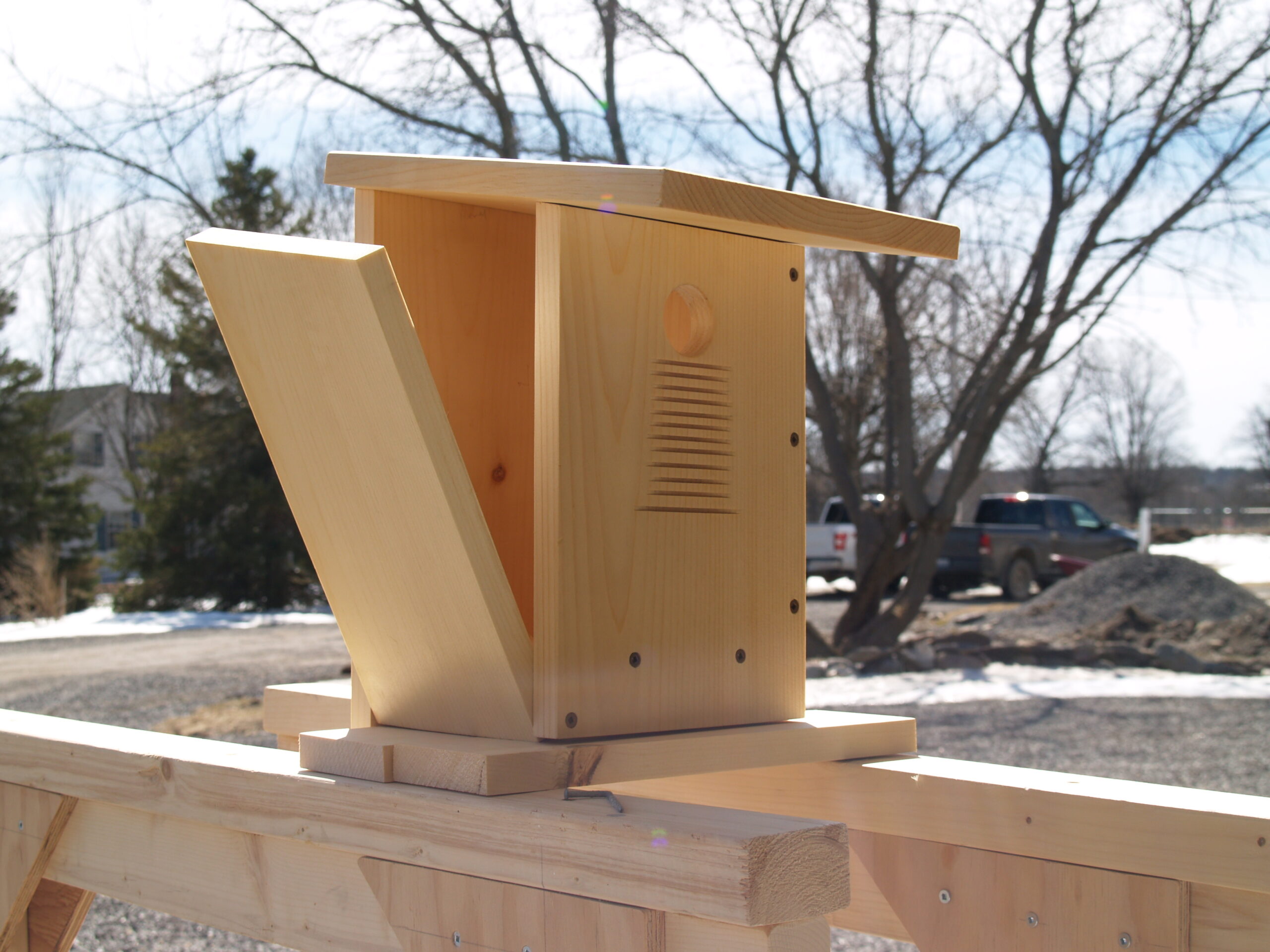 Tree Swallow Box