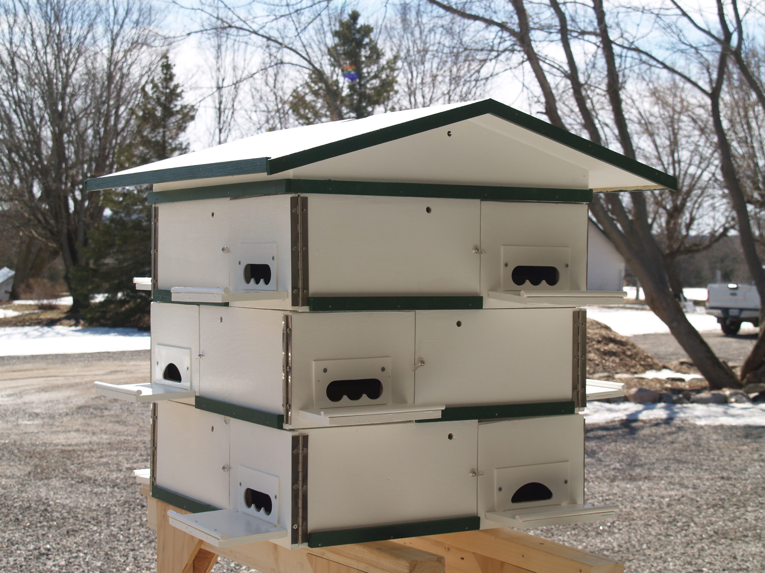 Purple Martin Hotel