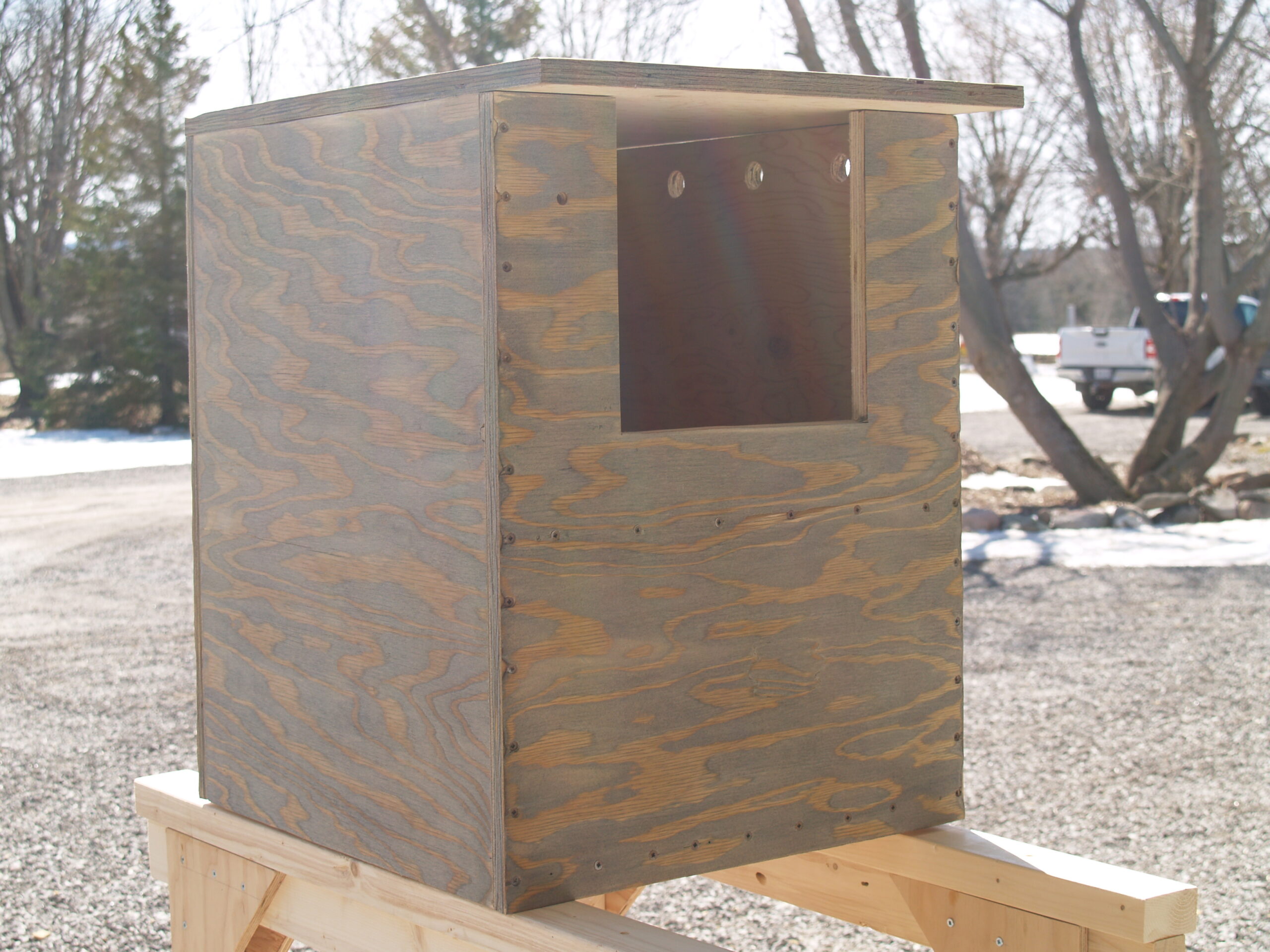 Barred Owl Box